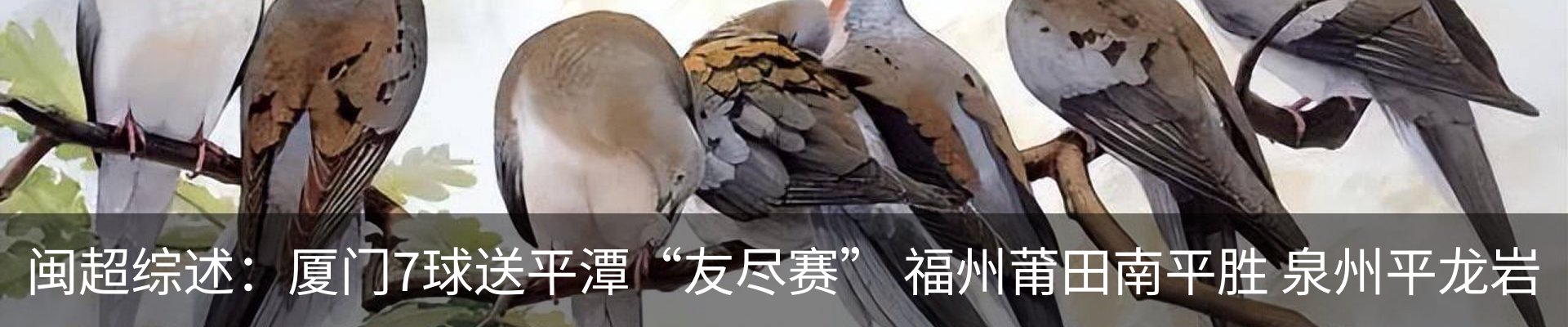 最新动态